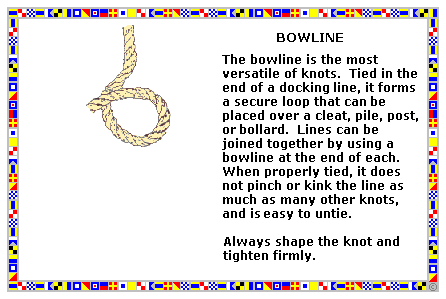 bowline